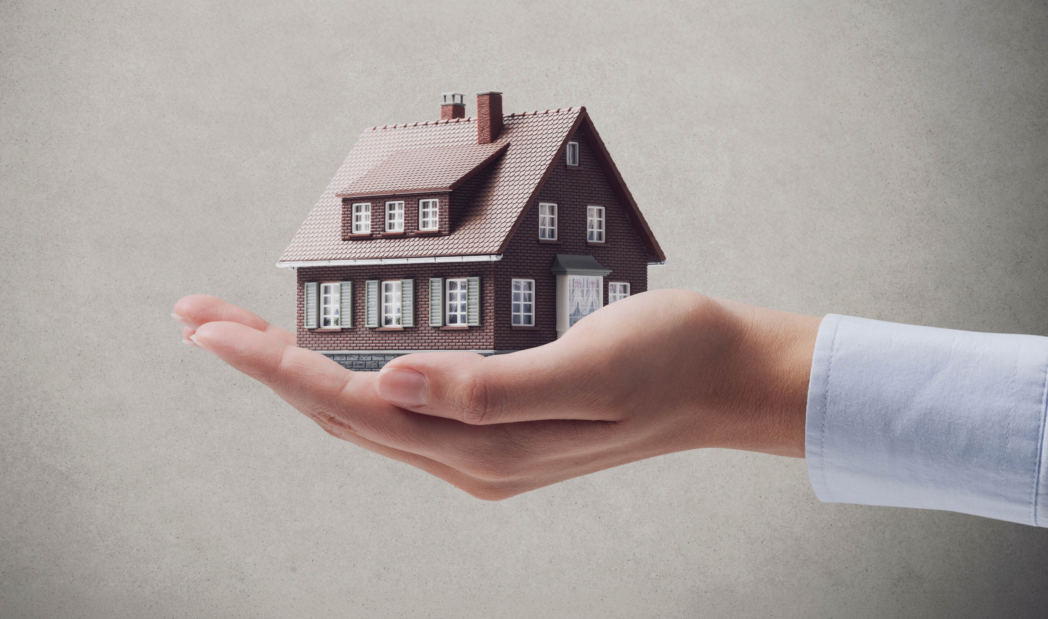 The Healthy Home by Solmar